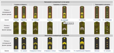 Погоны и звания в картинках | КЛУБ ВЫПУСКНИКОВ АКАДЕМИИ ФСО РФ