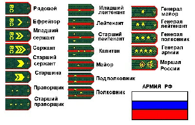 какие воинские звания носят наши военнослужащие и как это узнать по их  погонам - Школьные Знания.com