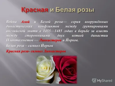 Истоки войны Алой и Белой розы. | ВКонтакте