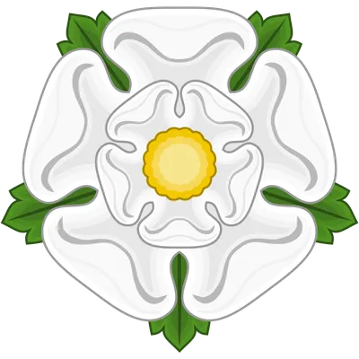 История Англии: Война Алой и Белой розы • Arzamas