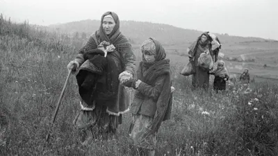 Дети войны - Центр образования \"Ступени\" Центр образования \"Ступени\"