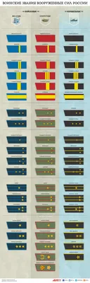 Воинские звания и погоны российской армии. Инфографика | Инфографика |  Вопрос-Ответ | Аргументы и Факты