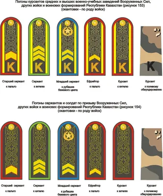 Кто носит погоны в Украине??? | REIBERT.info