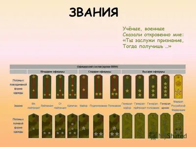 Товарищ дастабон. Таджикистан меняет воинские звания