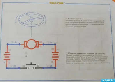 Plan Toys Волчки - «Впервые вижу такие необычные волчки! » | отзывы