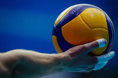 Волейбол: вид спорта, история, основные термины и понятия, звезды