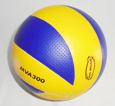 Купить Мяч волейбольный Sport Elite Мяч волейбольный, 5 размер, синий-желтый