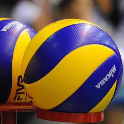 Как выбрать волейбольный мяч | Rus Volley | Дзен