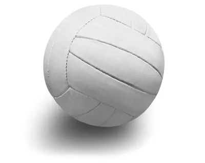 Профессиональный волейбольный мяч | AliExpress