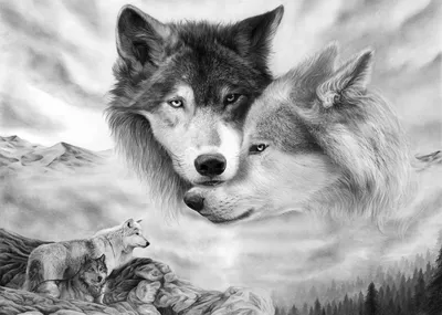 День волка: «щас спою…»