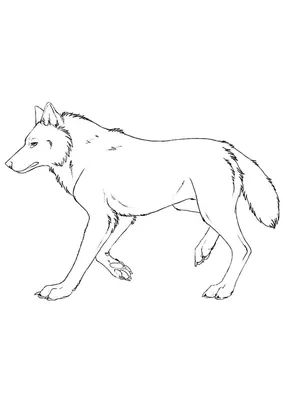 Любить волки в природе Рисунок волка Животные иллюстрация Иллюстрация штока  - иллюстрации насчитывающей чертеж, черный: 166482299