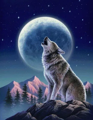 Волк и волчица... нежная любовь, …» — создано в Шедевруме