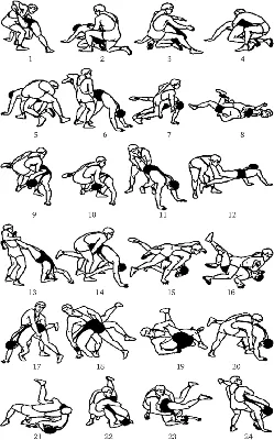 Основные приемы борьбы - 70 фото