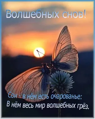 Таро волшебных снов - Tarot of Enchanted Dreams. Schiffer Publishing  (ID#1419851202), цена: 1485 ₴, купить на Prom.ua