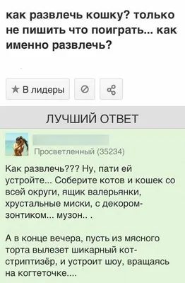 Как ответить на вопрос «Как дела?», чтобы диалог не превратился в  невыносимую скуку | TheGirl.ru | Дзен