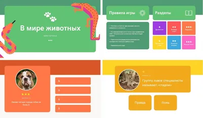 18 крутых викторин, чтобы весело провести время – Canva