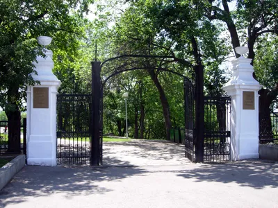 Фотография ворот, которые украшают любой дом