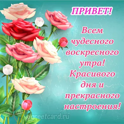 Вербное воскресенье: Как провести праздник, что надо делать с вербой, а что  делать нельзя - Российская газета