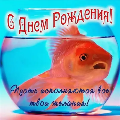 Вован @chernov_legenda_perm , с днём рождения тебя 🥳🥳🥳🎂😉Будь всегда  таким позитивным и любознательным 😉😅👍🏻Крепкого здоровья тебе  💪🏼Больших… | Instagram