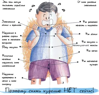 О вреде курения | ОГБУЗ ОБ№2