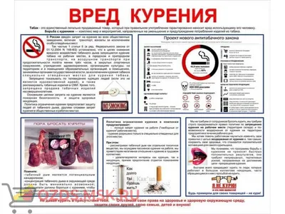 СОВЕТЫ РОДИТЕЛЯМ ПО ПРОФИЛАКТИКЕ ТАБАКОКУРЕНИЯ