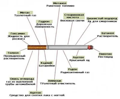 О Вреде курение | Алексей Сазонов | Дзен