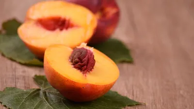 Вредители персика в картинках фотографии