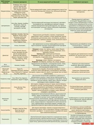 баковые смеси для защиты растений от болезней и вредителей: 10 тыс  изображений найдено в Яндекс.Картинках | Огород, Уличные растения, Растения
