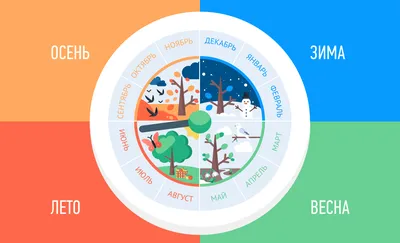 Купить Пособие Времена года. Год и месяц (Никитин) 85081258 в магазине  развивающих игрушек Детский сад