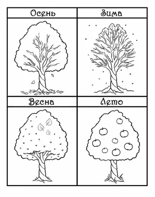 Мастер-класс по аппликации «Дерево «Времена года» для детей старшего дошкольного  возраста (20 фото). Воспитателям детских садов, школьным учителям и  педагогам - Маам.ру