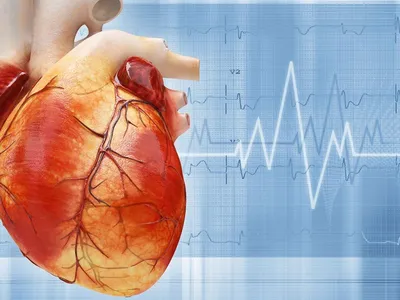 Пороки сердца - причины появления, симптомы заболевания, диагностика и  способы лечения