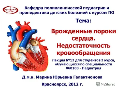 Всемирный день осведомленности о врожденных пороках сердца | Центр  общественного здоровья и медицинской профилактики