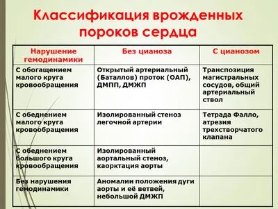 Редкие комбинации врожденных пороков развития легких у новорожденных:  диагностика и хирургическое лечение - Журнал Доктор Ру