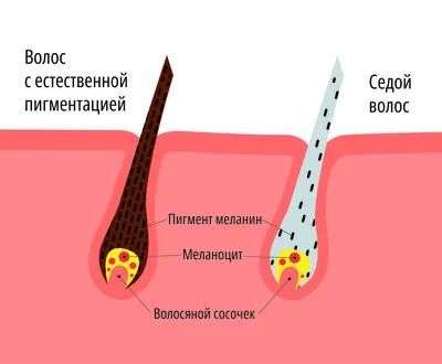 Форум устной истории Украины - вызовы и болевые точки в документировании  опытов войны | РБК Украина