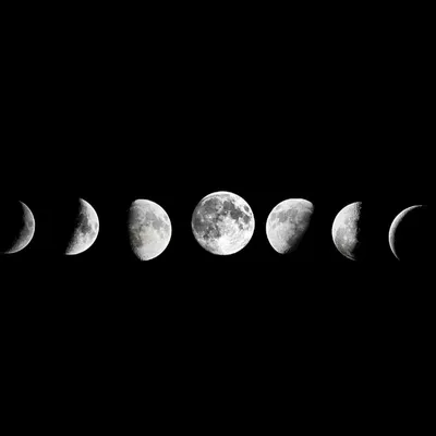 Фазы Луны, новолуние, полнолуние, растущая Луна, убывающая Луна, лунные фазы  Луны