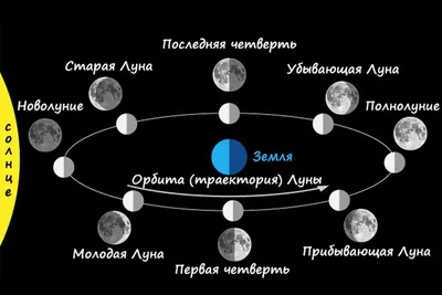 Картинки фазы луны с названиями для детей (69 фото) » Картинки и статусы  про окружающий мир вокруг