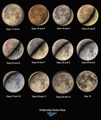 Картинки все стадии луны (67 фото) » Картинки и статусы про окружающий мир  вокруг