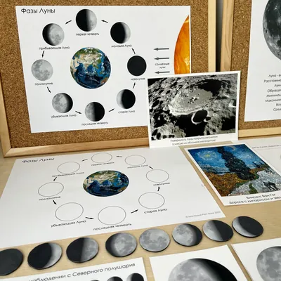фазы луны в черно белом, картинки лунного цикла фон картинки и Фото для  бесплатной загрузки