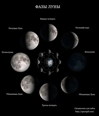 Как определять фазы Луны без Календаря | Underground | Дзен