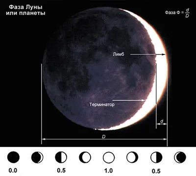 3d иллюстрация абстрактных лунных фаз, фазы луны, 3d планета, поверхность  луны фон картинки и Фото для бесплатной загрузки