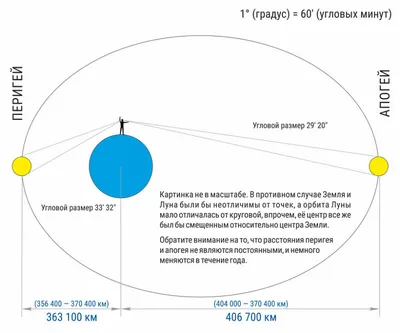 Фазы луны убывающая или растущая луна на прозрачном клетчатом фоне лунное  затмение | Премиум Фото