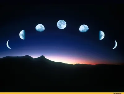 Специалист объяснил, почему Луну иногда видно днем – Москва 24, 10.09.2020