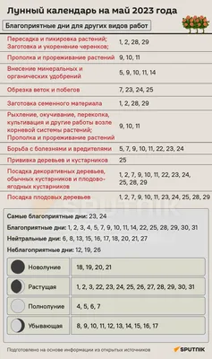 Фаза Луны сегодня — Лунный календарь 2024 | Какая сегодня Луна — растущая  или убывающая | Star Walk