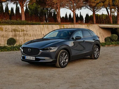 Новый кроссовер Mazda CX-60 вывел марку в премиум — Авторевю