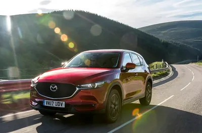 Кроссовер Mazda CX-60 раскрыли до премьеры — Авторевю