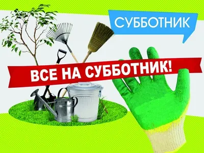 Все на субботник!