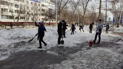 Все на субботник!\" - веселые объявления, в которых все настолько серьезно  что просто смешно | Адекватное родительство | Дзен