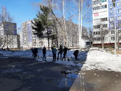 Все на субботник!\" Ностальгические фотографии с самого нелюбимого  советского мероприятия. | Фотограф Елена О. | Дзен