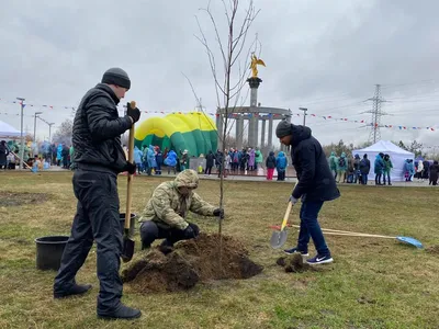 Все на субботник!