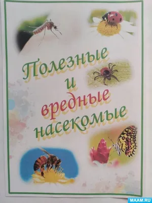 Ученые пытаются понять, этично ли убивать насекомых | РБК Тренды